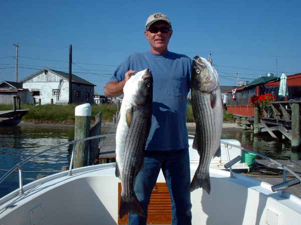 Pete with two more Block Island Bass.