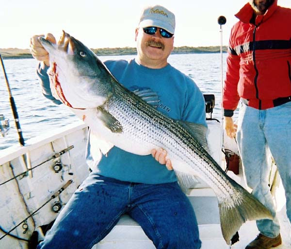 Doug Ickes holds an excellent Bass taken on Plug at Block Island